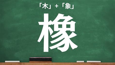 木象|木へんに象の読み方は？「橡」の5つの音読み訓読み